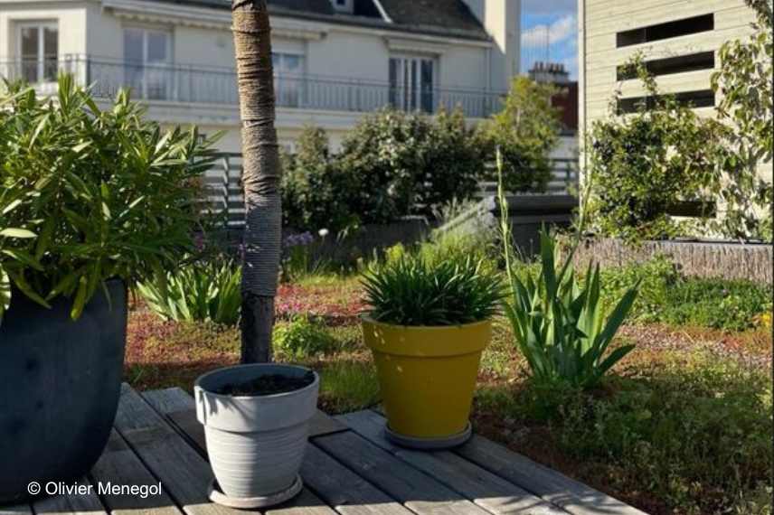 aménager un toit terrasse, aménagement toiture terrasse, conseils idées toit terrasse, quelles plantes sur un toit terrasse, plantes resistantes sur toiture terrasse, inspiration toit terrasse, reglementation toit terrasse