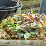 Activateurs de compost naturels : quand et comment les utiliser ?