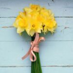 Un bouquet de narcisses pour 0.50 €