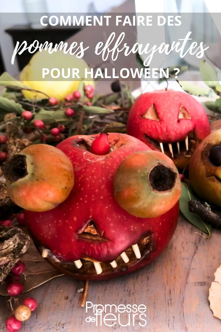 decorations halloween naturelles