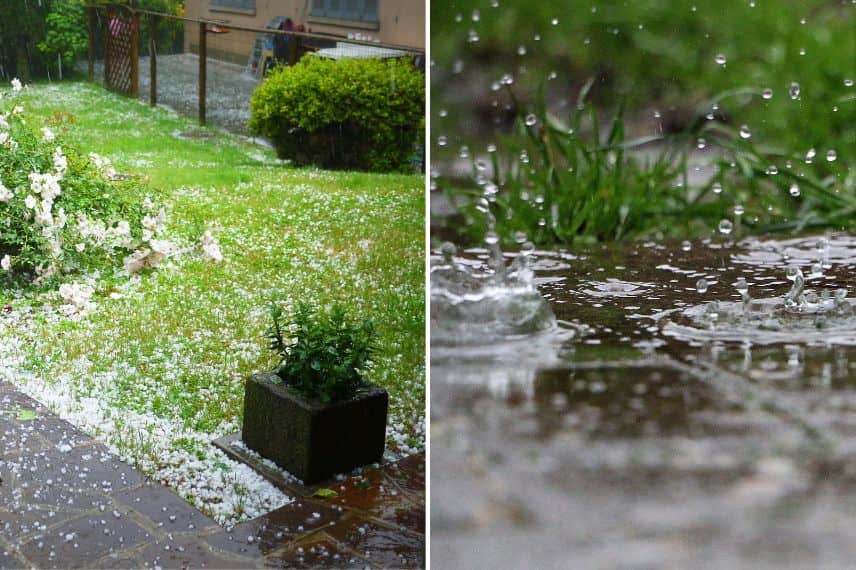 Conditions défavorables pour la plantation