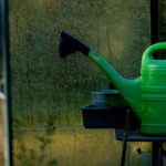 Comment arroser la serre en hiver ?