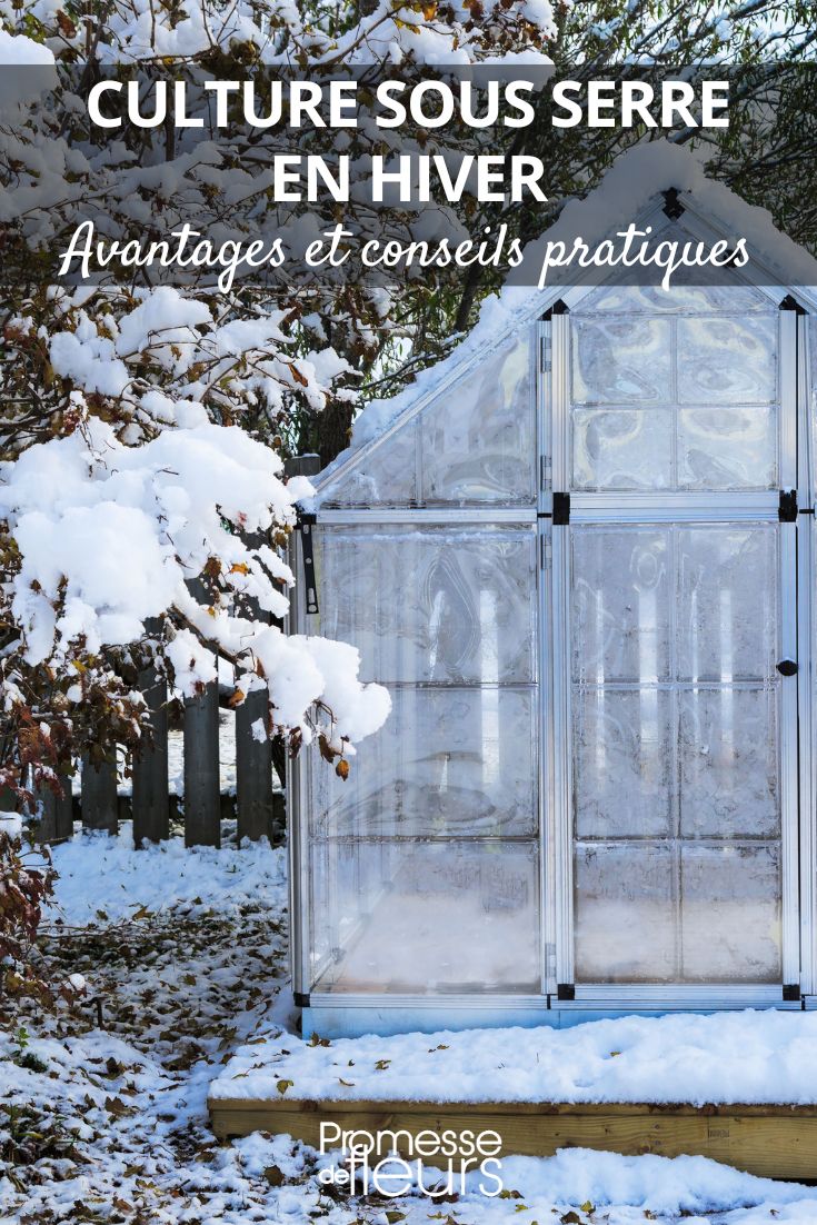 culture sous serre