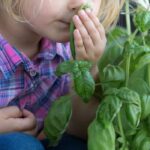 7 idées créatives pour initier les enfants au jardinage même sans jardin