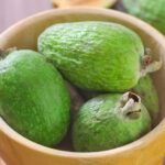 Comment récolter et conserver les fruits du Feijoa ?