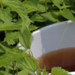 Purins au jardin : quand les utiliser ? Comment les doser et les appliquer ?