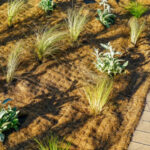 Comment poser une toile de paillage biodégradable ?