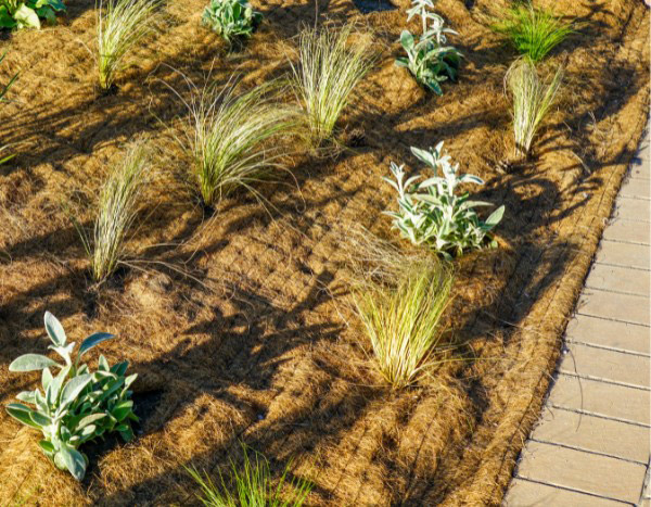 Comment poser une toile de paillage biodégradable ?