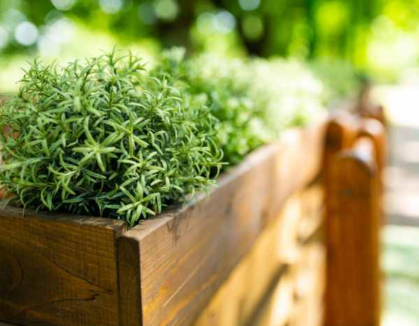 Comment bien préparer une jardinière surélevée ?