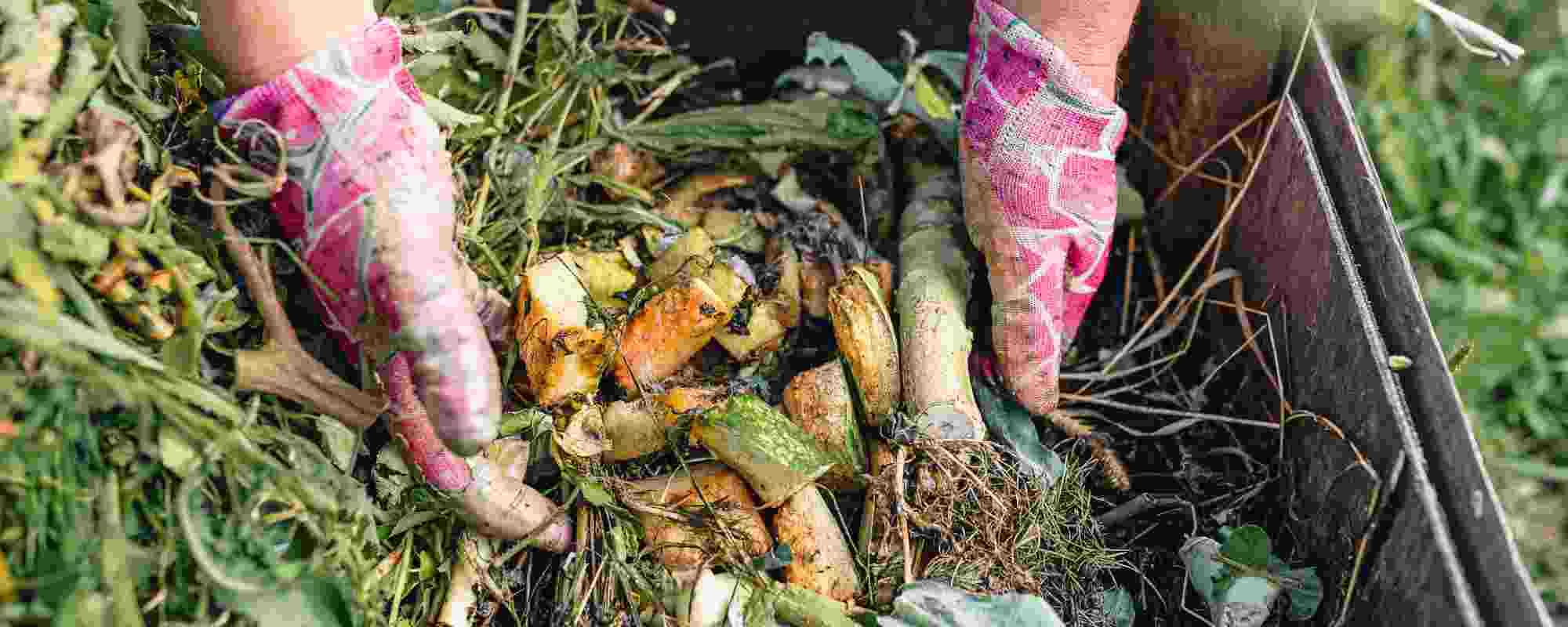 Quels sont les déchets à ne pas mettre dans le compost ?