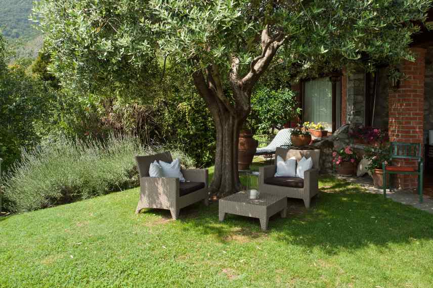 ou comment placer arbre par rapport maison