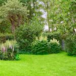 Comment bien placer les arbres dans un jardin ?