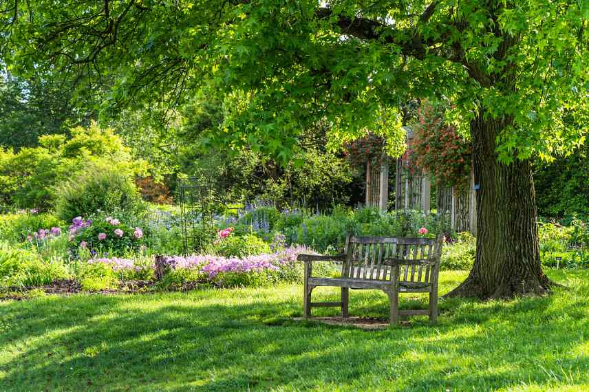 comment placer un arbre dans un jardin