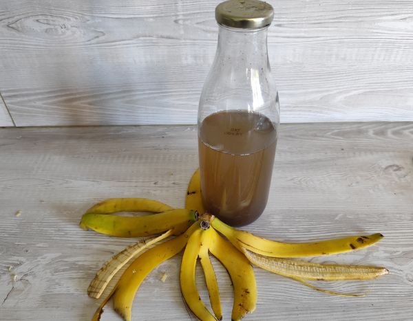 Comment faire du purin de peau de banane ?