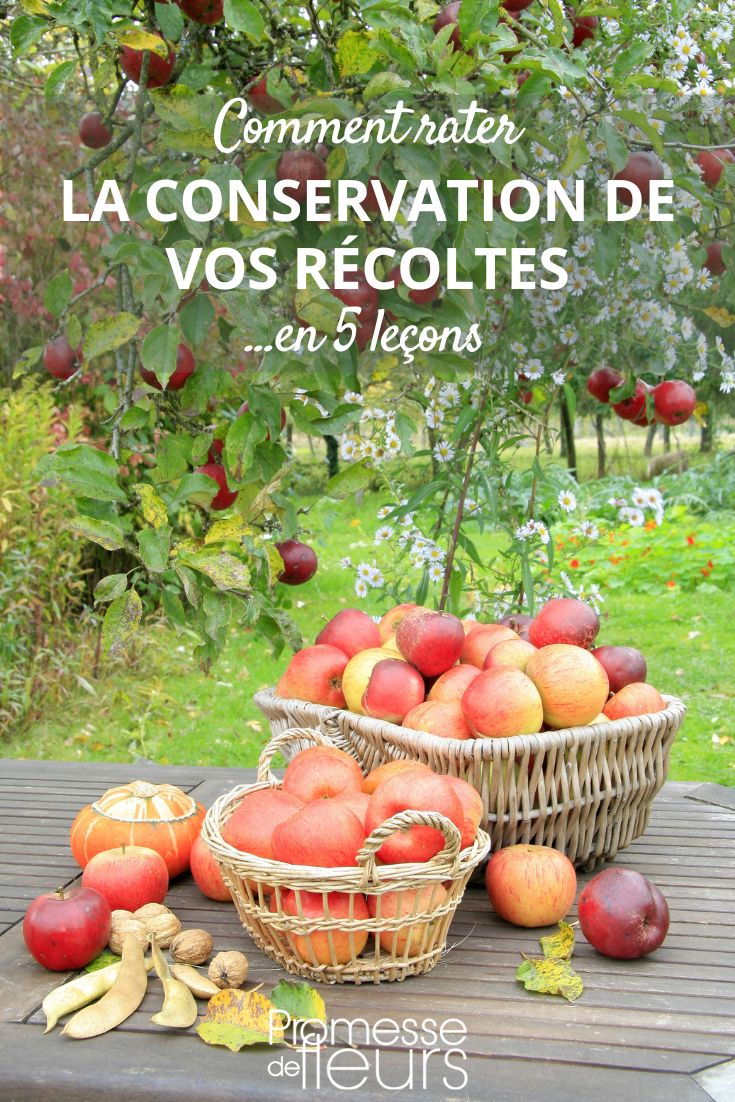 Comment rater la conservation de vos récoltes ?