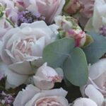 Les meilleurs rosiers pour des bouquets enchanteurs et parfumés