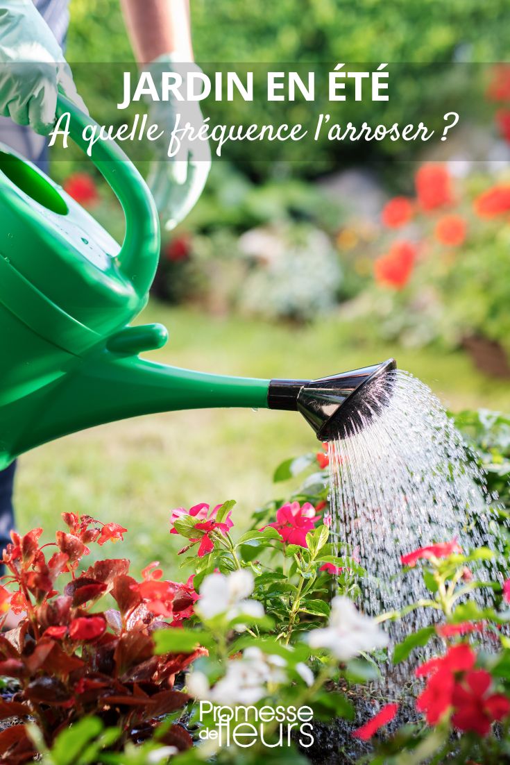 arrosoir et jardin d'été