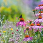 Un jardin resplendissant en été : nos conseils d'aménagement