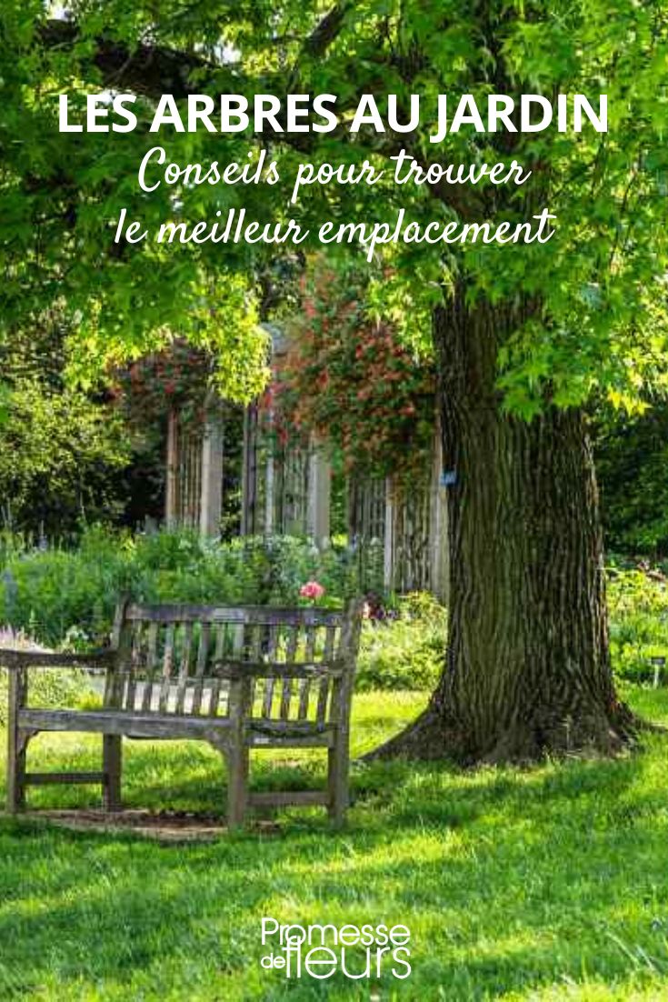 où planter les arbres