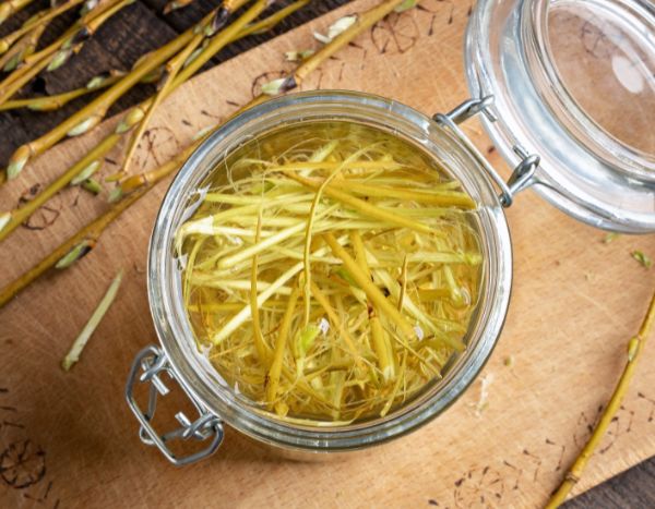 Comment faire ses propres hormones de bouturage naturelles ?