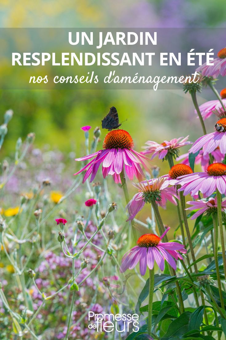 conseils pour un beau jardin même en été