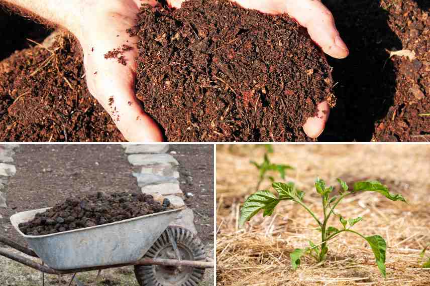 amélioration sol jardin permaculture