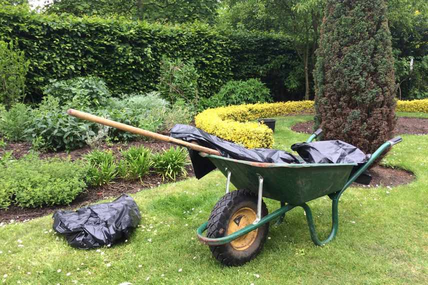 créer des massifs débutant