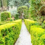 Quels engrais pour les arbres et les arbustes ?