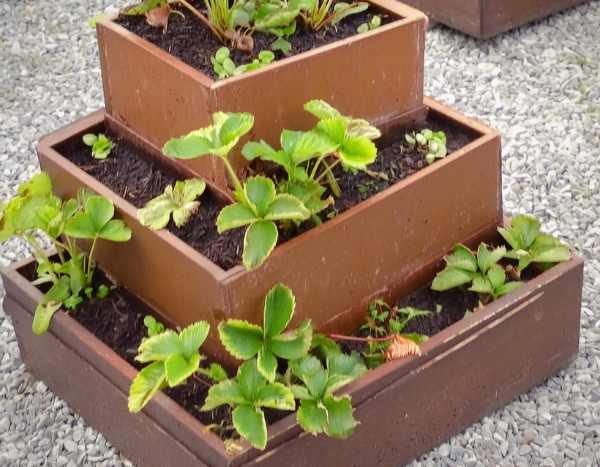 Comment fabriquer une tour à fraisiers ?