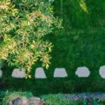 J'aménage mon premier jardin : par quoi commencer ?