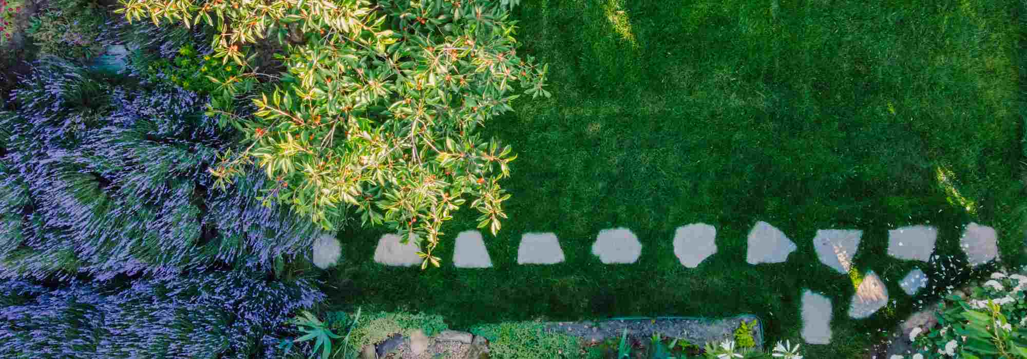 J'aménage mon premier jardin : par quoi commencer ?