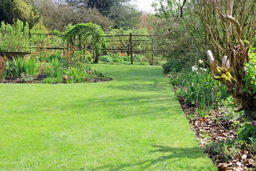 idees premier jardin