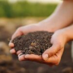 Nos solutions de fertilisation 100 % naturelles pour le jardin