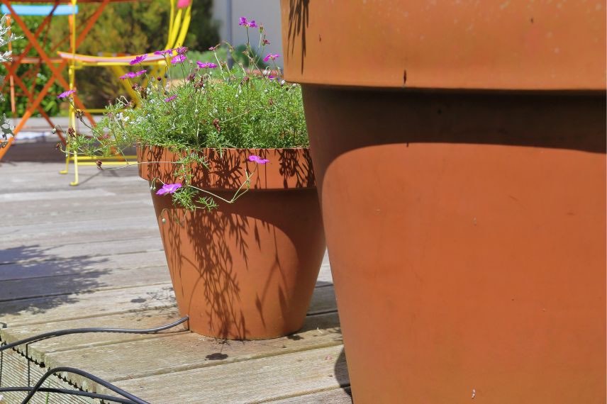 arrosage goutte-à-goutte