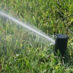 Comment entretenir son gazon en été ?