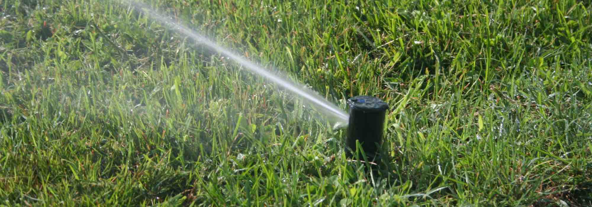 Comment entretenir son gazon en été ?