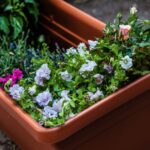 Comment rater ses jardinières en 6 leçons ?