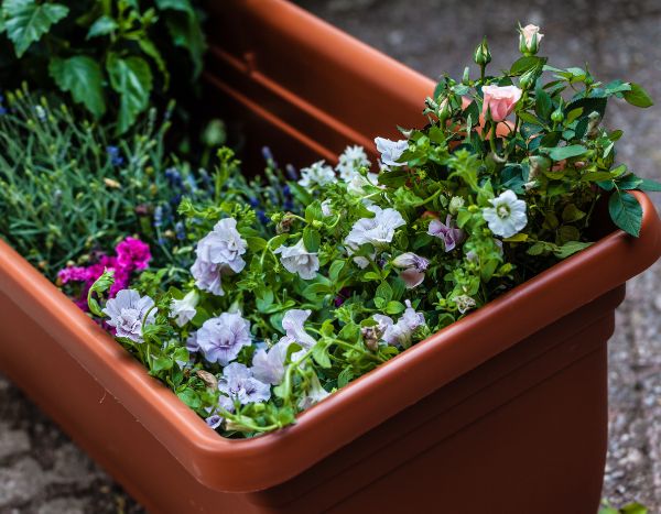 Comment rater ses jardinières en 6 leçons ?