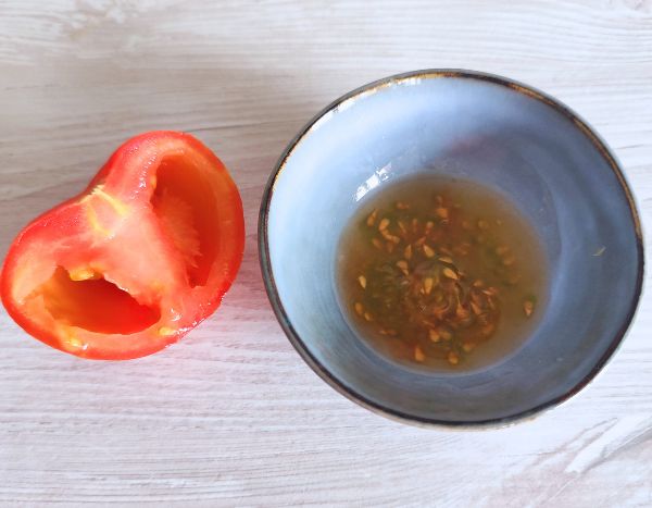 Comment récolter et conserver vos graines de tomates ?