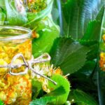 Le tilleul frais : un allié naturel aux multiples usages