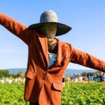 Comment fabriquer un épouvantail pour le jardin ?