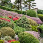 Comment aménager un talus sans entretien ?