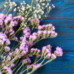 Comment récolter et faire sécher le Limonium pour des bouquets durables ?