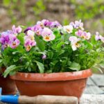 Comment diviser les pensées ?