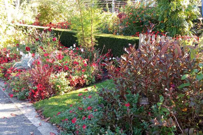 jardins de l arboretum Gaston Allard