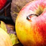 Pommiers : pourquoi choisir des variétés anciennes et locales ?