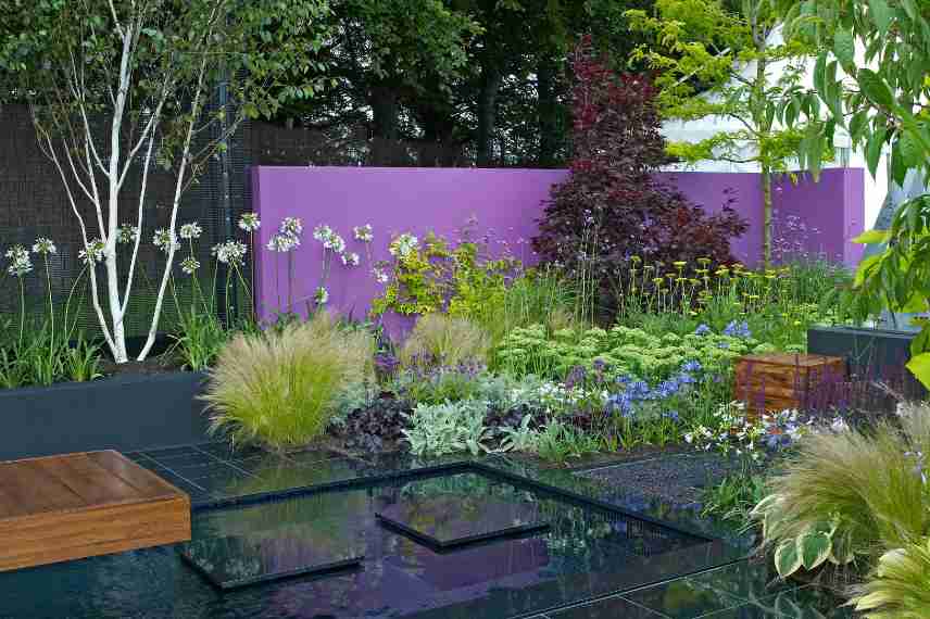 couleurs jardin contemporain