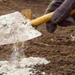 Utiliser de la chaux au jardin : bonne ou mauvaise idée ?