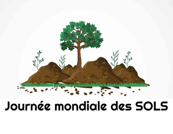 Journée mondiale des sols : comprendre et préserver l'épiderme de notre planète