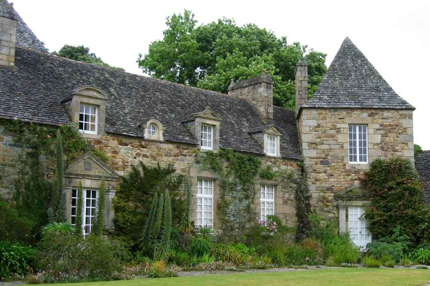 que planter contre un mur sud